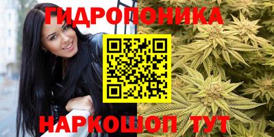 прущие крисы Бузулук