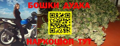 PSILOCYBIN Будённовск