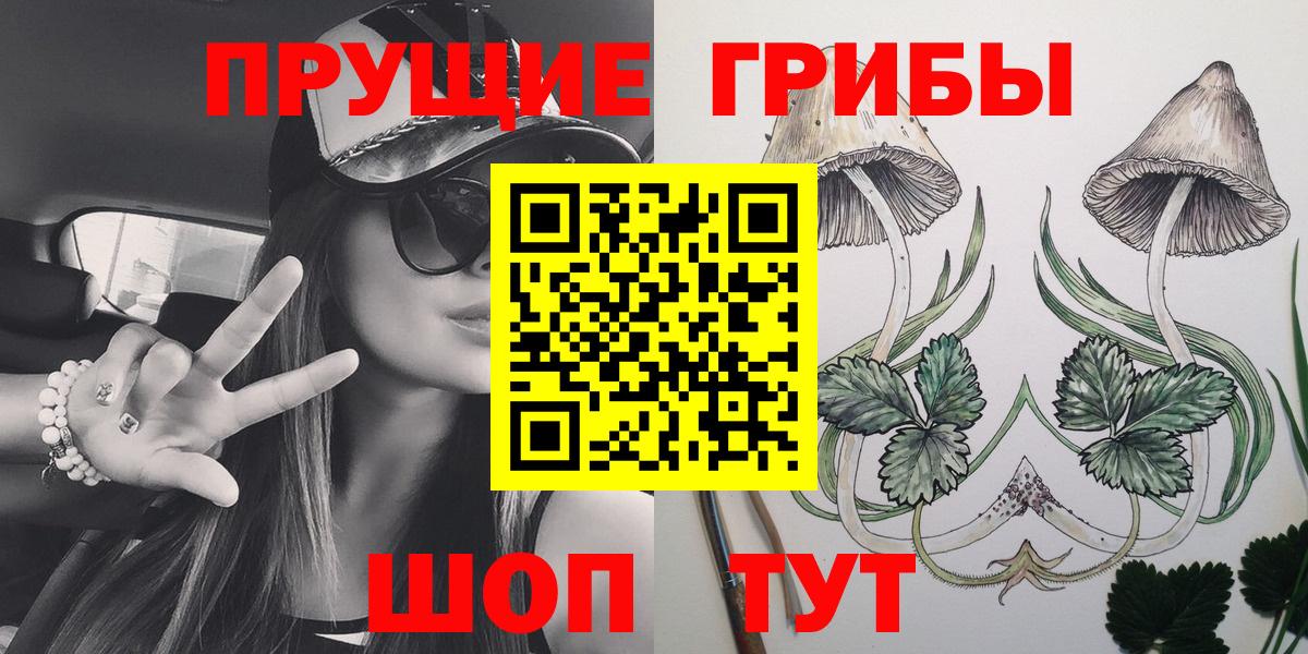 Псилоцибиновые грибы мицелий  Псилоцибиновые грибы прущие грибы  Вход с VPN  Мценск 