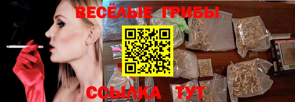 Галлюциногенные грибы Psilocybine cubensis Мценск